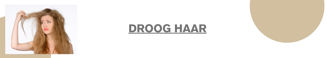 Droog-haar