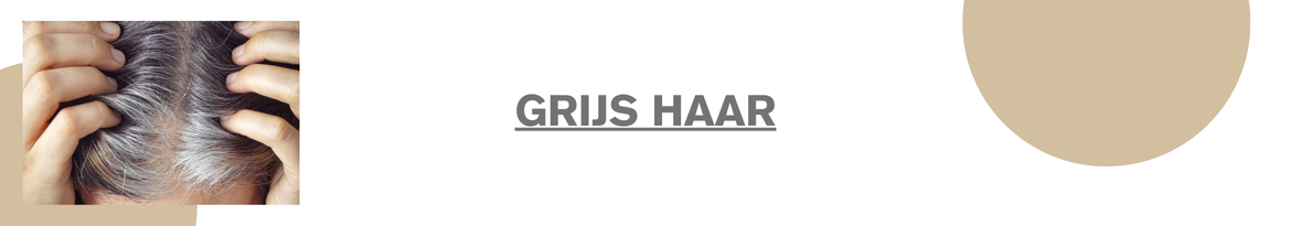 Grijs-haar